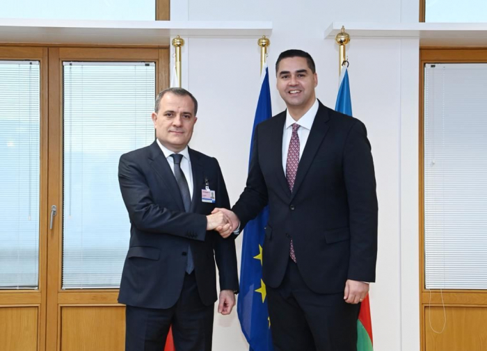 Azerbaijani FM holds meeting with Malta