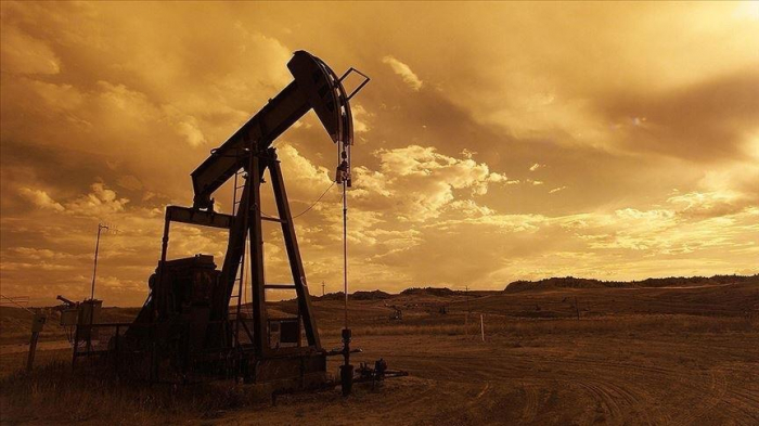 Oil dips as dollar firms while more rate hikes loom