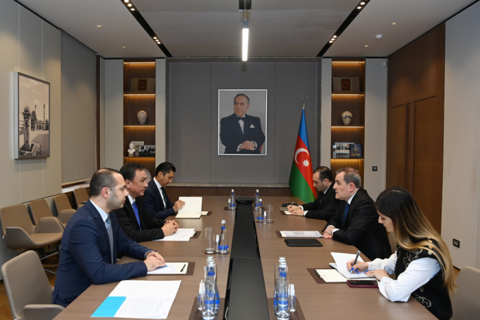 Jeyhun Bayramov se reunió con el Secretario General de la Organización de Estados Túrquicos