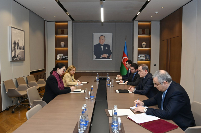   Azerbaijani FM meets with head of ICRC Office in country  