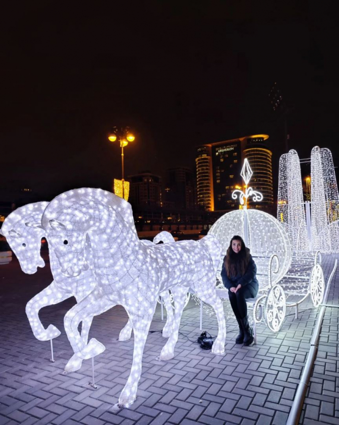 Leyla Aliyeva makes post on New Year preparations in Baku