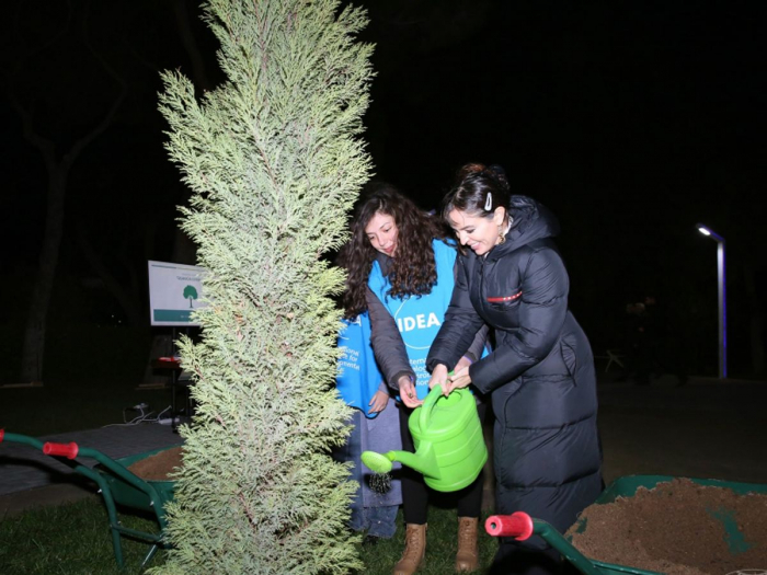 Leyla Aliyeva attends registration and numbering of trees in Baku 