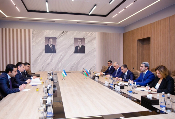 Azerbaijan, Uzbekistan mull prospects for transport cooperation