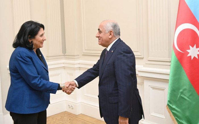    Əli Əsədov Gürcüstan Prezidentilə görüşüb   