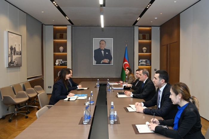   Azerbaijan, UN discuss cooperation issues  