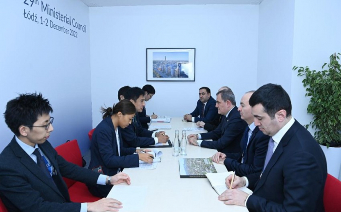 Dscheyhun Bayramov traf mit dem Staatsminister für auswärtige Beziehungen Japans zusammen 