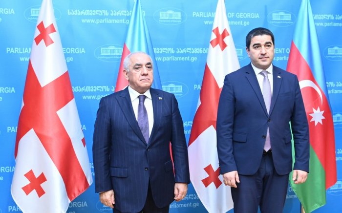 Baş nazir Gürcüstan parlamentinin sədri ilə görüşüb