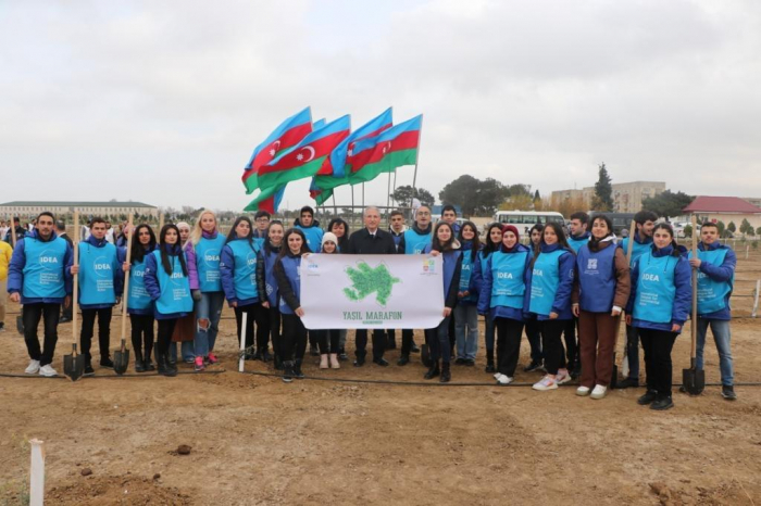 "Yaşıl Marafon” aksiyaları zamanı 3000-dən çox ağac əkilib "Yaşıl Marafon” aksiyaları zamanı 3000-dən çox ağac əkilib