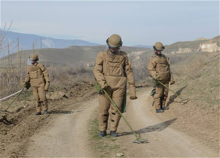   Zahl der Aserbaidschaner, die in den letzten 30 Jahren in Armenien vom Minenterror betroffen waren, wurde bekannt gegeben  