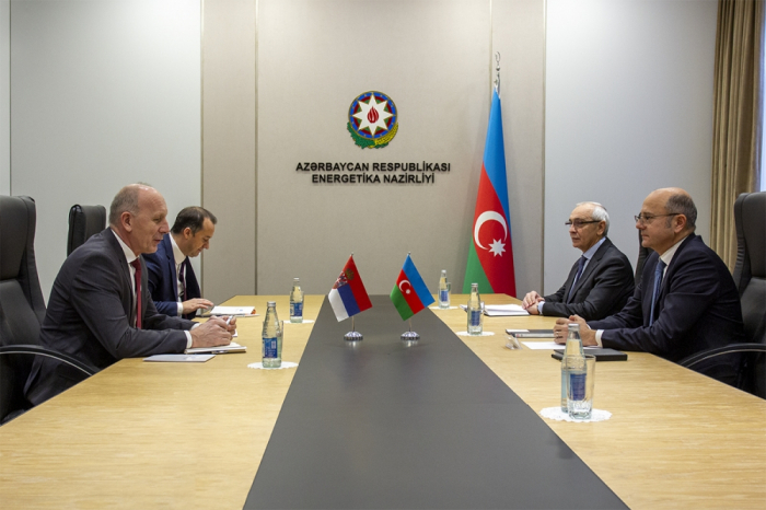   Azerbaijan, Serbia discuss opportunities of electricity and gas exports  