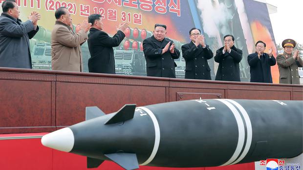   Crowds in Pyongyang welcome the start of the New Year -   NO COMMENT    