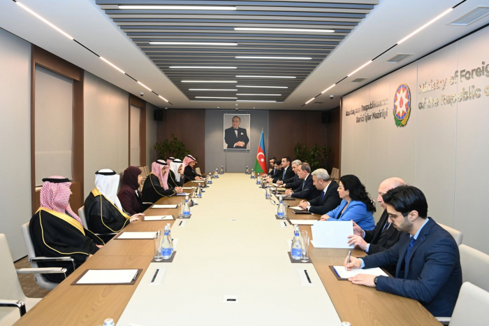 Azerbaijan, Saudi Arabia discuss bilateral and regional issues