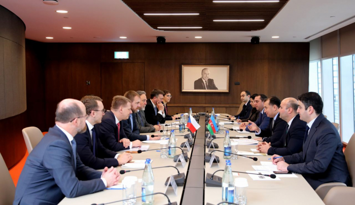  Azerbaijan may involve Czech companies in its 