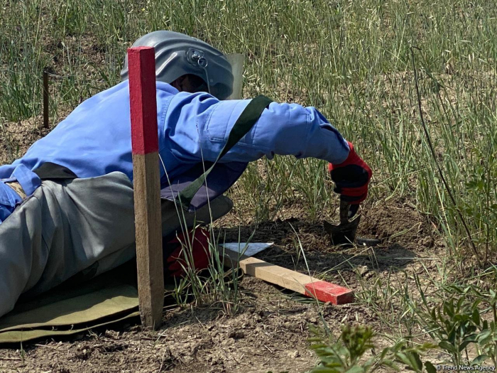  Demining operations underway in liberated Azerbaijani territories: ANAMA  