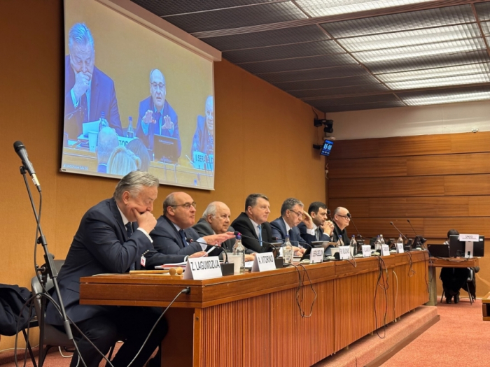 High-level meeting of Nizami Ganjavi International Center held in Geneva