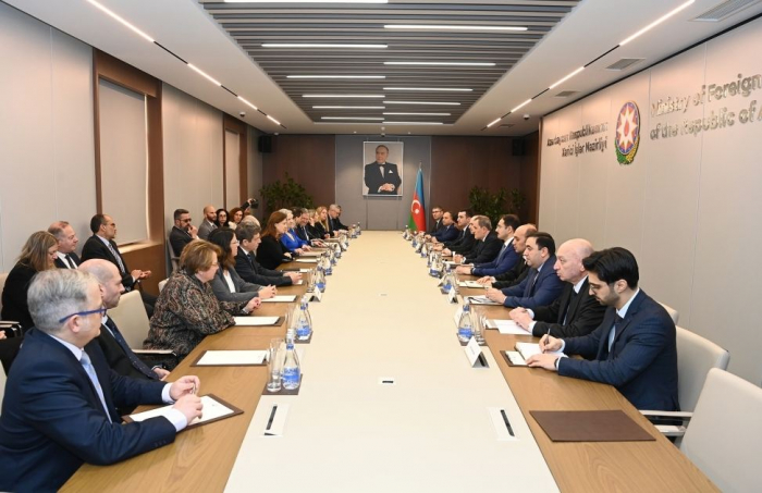 Azerbaijani FM Meets With Delegation Of Israeli MFA