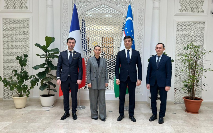   Leyla Abdullayeva traf sich mit den Botschaftern Pakistans und Usbekistans in Frankreich   - FOTO    