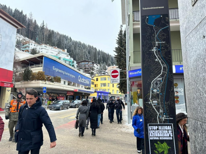  Action in support of Azerbaijani environmental activists held in Davos  