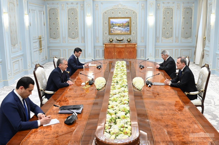   Uzbek president informed about Azerbaijan