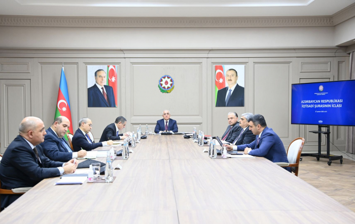 Economic Council of Azerbaijan holds first 2023 session