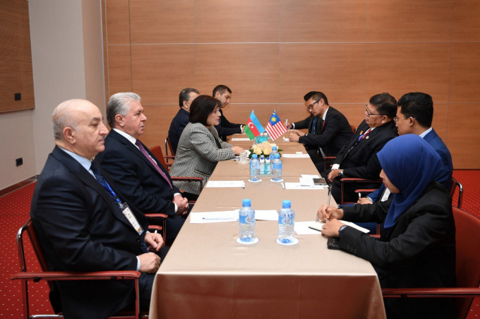 Chairperson of Azerbaijani parliament updates her Malaysian counterpart on deadly attack on Azerbaijan Embassy in Iran 