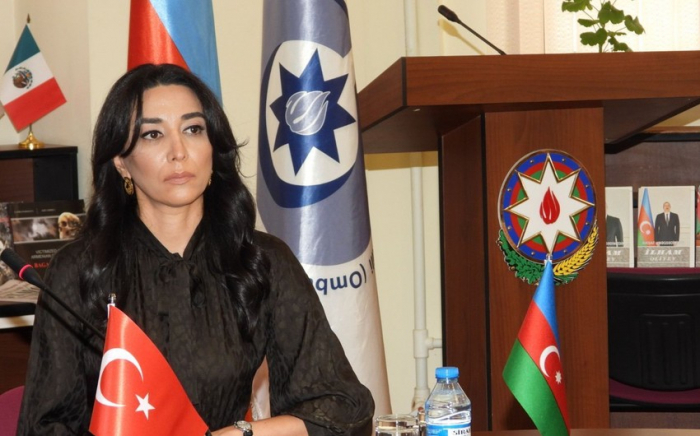 Ombudsman 20 Yanvarla bağlı bəyanat yaydı Ombudsman 20 Yanvarla bağlı bəyanat yaydı