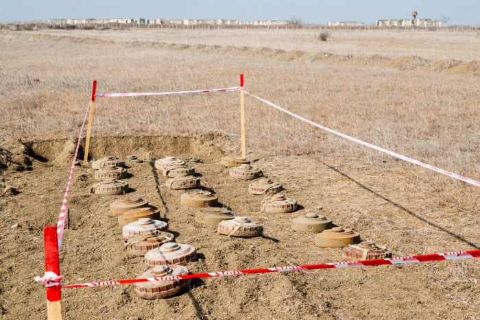   About 13,000 mines neutralized in liberated Azerbaijani territories over past year: ANAMA   