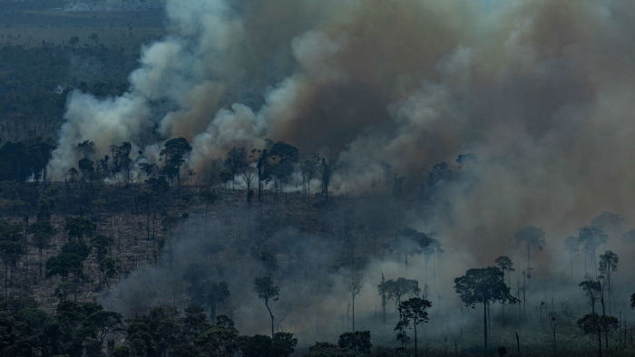 La destrucción del Amazonas podría desencadenar un efecto dominó en otras partes del mundo