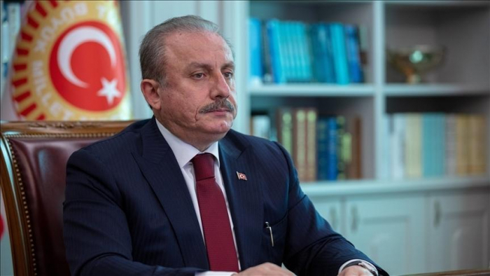Le président du parlement turc commémore les martyrs du 20 Janvier 