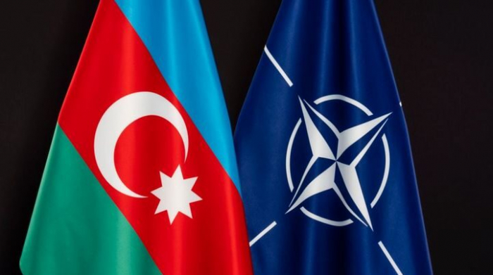  NATO  Azərbaycan səfirliyinə hücumu pisləyib 