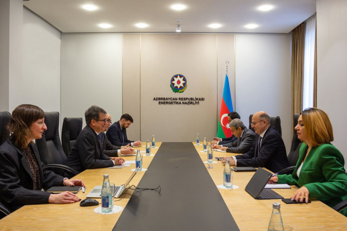 Azerbaijani energy minister, TAP executive director talk on prospects for hydrogen transporting