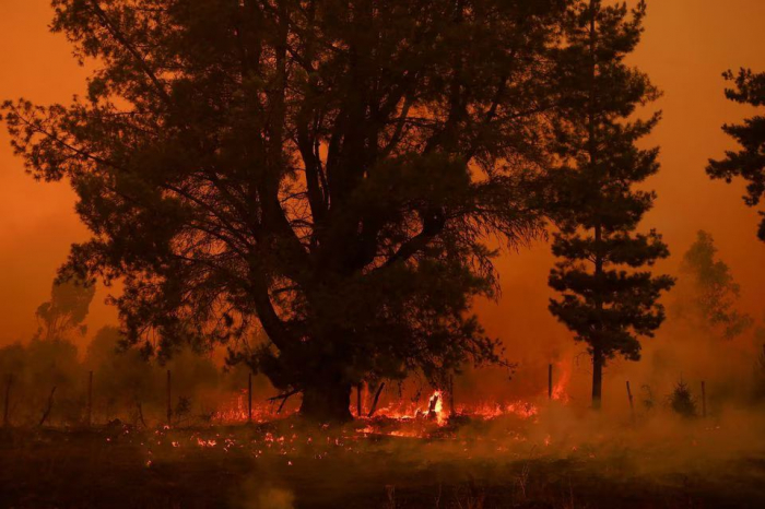 At least 23 dead as dozens of wildfires torch forests in Chile