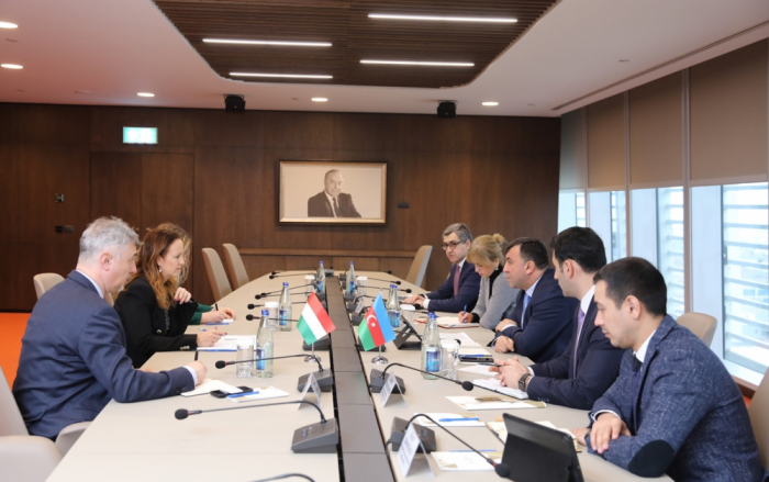   Beteiligung ungarischer Unternehmen an in Aserbaidschan durchgeführten Projekten diskutiert    