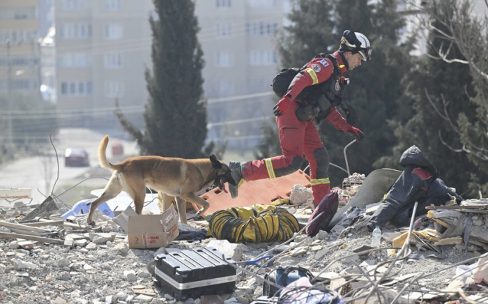   Zahl der Länder, die Such-, Rettungs- und Hilfsteams in die Türkei entsenden, wurde bekannt gegeben  