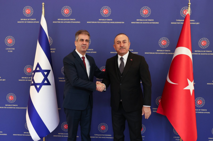   Israeli foreign minister visits Türkiye  