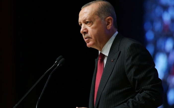     Erdogan:   "Ich danke den Ländern, die die Türkei unterstützen"  