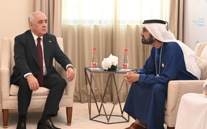   Azerbaijani PM meets with UAE Vice President  