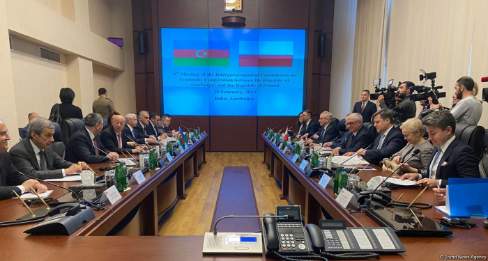 Azerbaijan, Poland enjoy great potential for enhancing trade turnover: Minister 