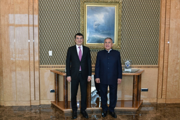 Azerbaijan’s First Deputy Minister of Economy meets with Head of Republic of Tatarstan