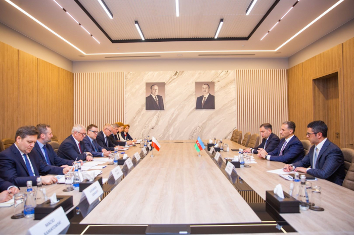 Azerbaijan, Poland exchange views over dev