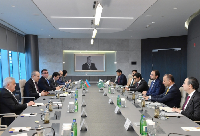   Azerbaijan and Pakistan mull cooperation in fields of investment, trade and energy  