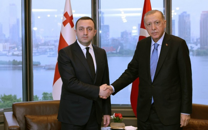   Erdogan traf sich mit dem Ministerpräsidenten von Georgien  