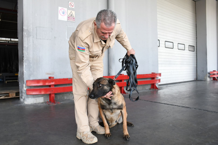   USA übergeben weitere Pionierhunde an Aserbaidschan, um befreite Gebiete zu entminen  