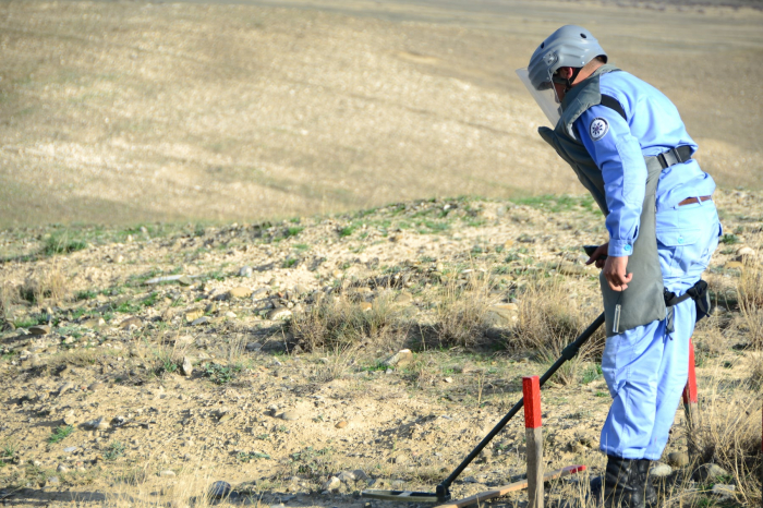  Azerbaijan neutralizes 14 anti-tank mines, 443 UXOs in liberated territories last week  