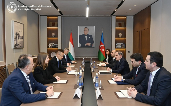  Azerbaijani FM meets with his Hungarian counterpart  
