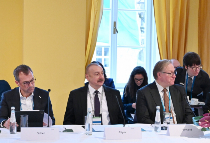  Ilham Aliyev assiste à une table ronde en Allemagne - Photos