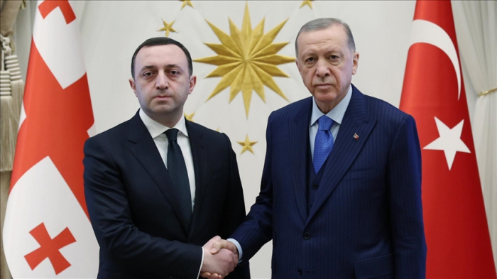 Erdogan rencontre le PM géorgien, Irakli Garibashvili