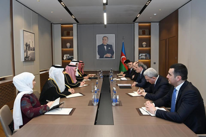 Azerbaijani FM meets with Saudi Arabia