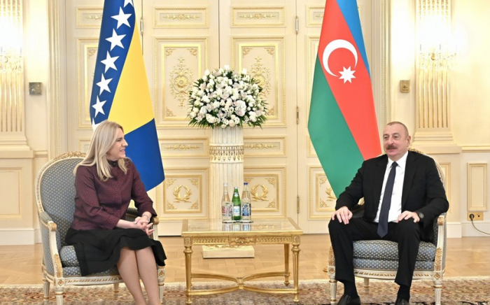   Präsident von Aserbaidschan traf mit der Vorsitzenden der Präsidentschaft von Bosnien und Herzegowina zusammen   - FOTOS    