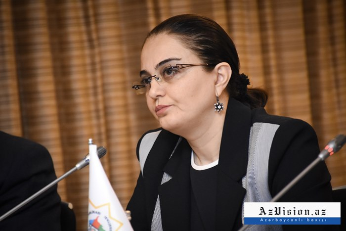  Azerbaijan appoints new deputy minister of culture 